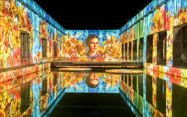 Bassins de Lumières Frida