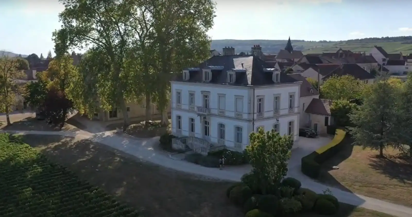 Château de Puligny Montrachet