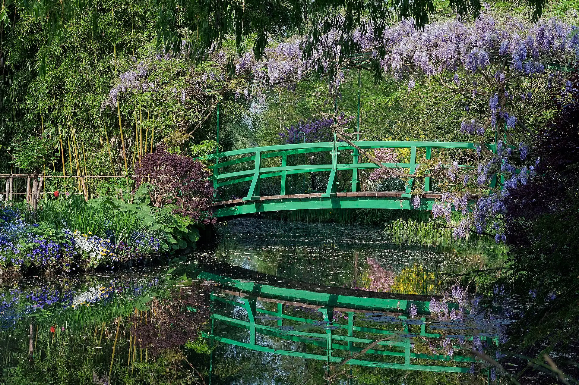 The famous green Japanese bridge, draped in wisteria and spanning the water-lily pond, is located in the water garden of the Claude Monet Foundation in Giverny.
