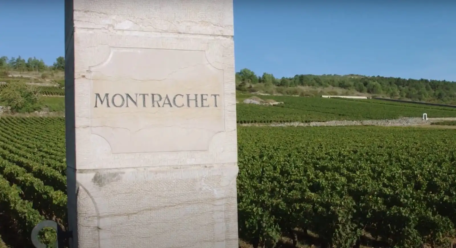 Montrachet