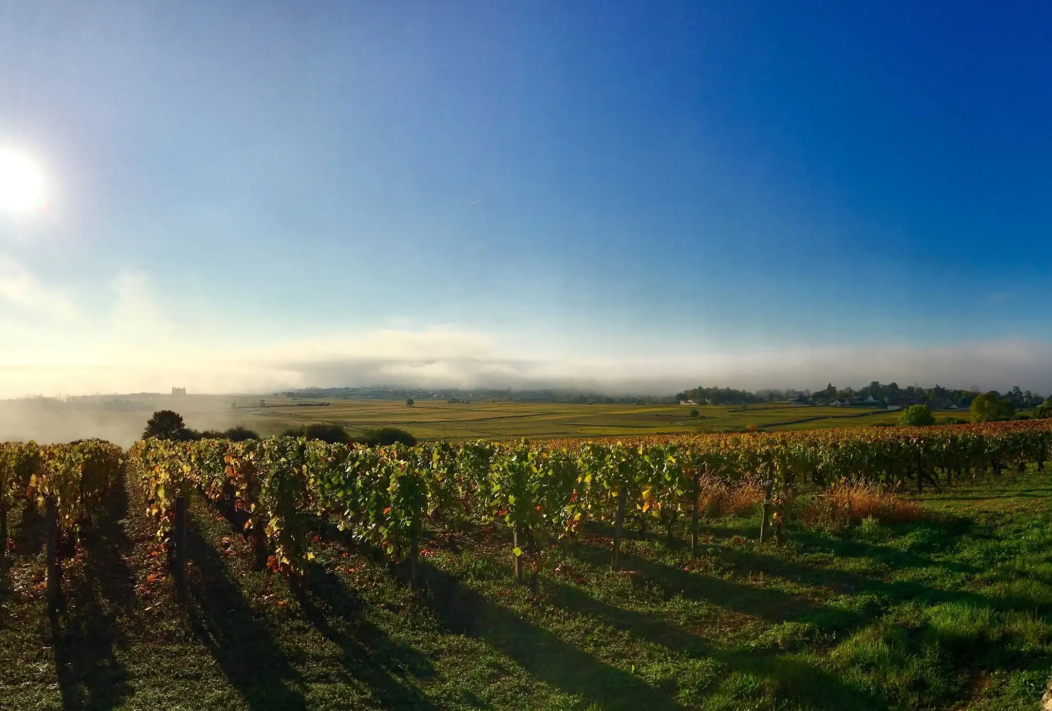 Vignobles Beaune