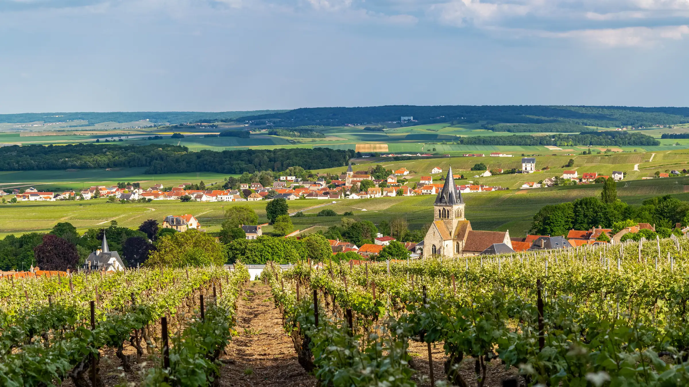 The village of Ville-Dommange and its church of Saint-Lié, located in the heart of the Montagne de Reims vineyards