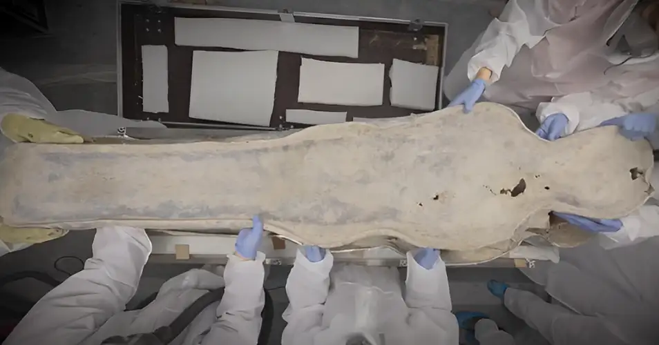 laboratory opening of one of the two mysterious lead sarcophagi discovered beneath Notre-Dame Cathedral in Paris